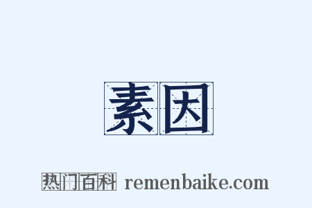 素因是什么意思的图片
